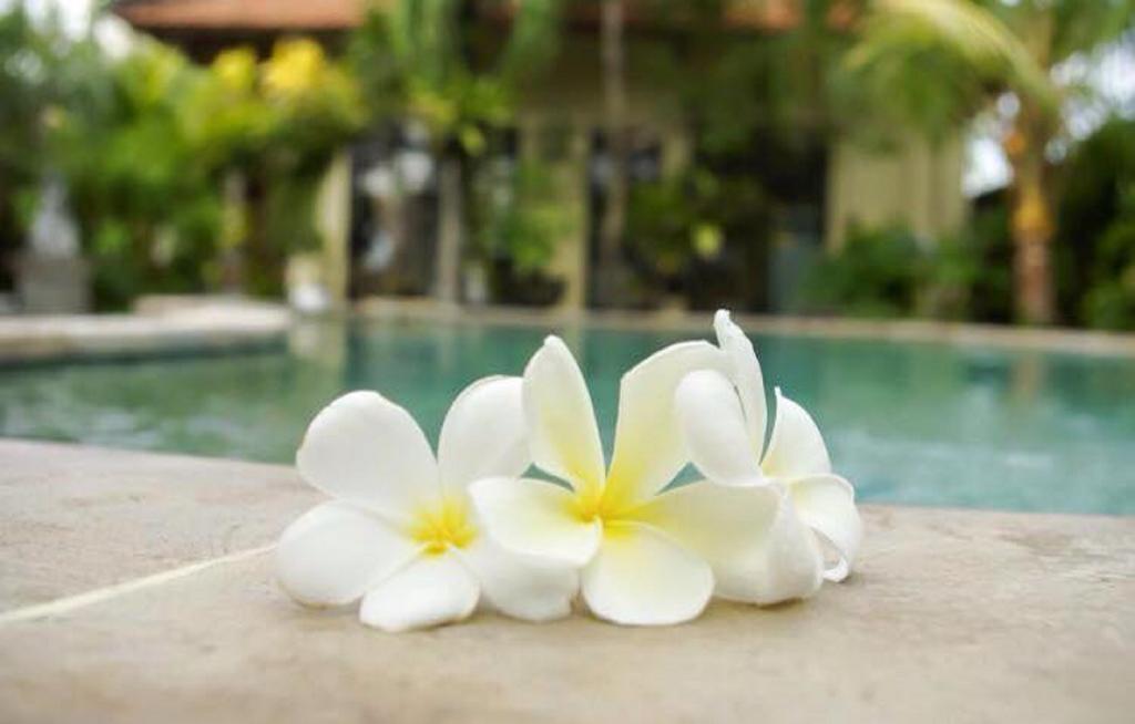 Villa Chandra Seminyak  Luaran gambar
